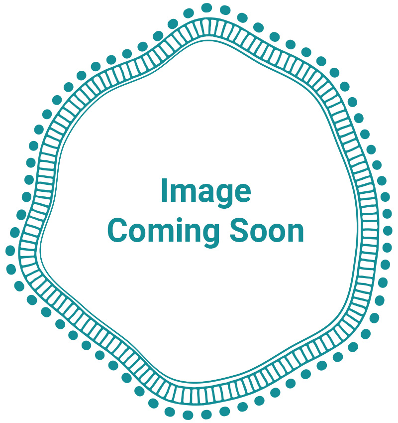 Placeholder image with teal decorative border and the text 'Image Coming Soon' in teal.