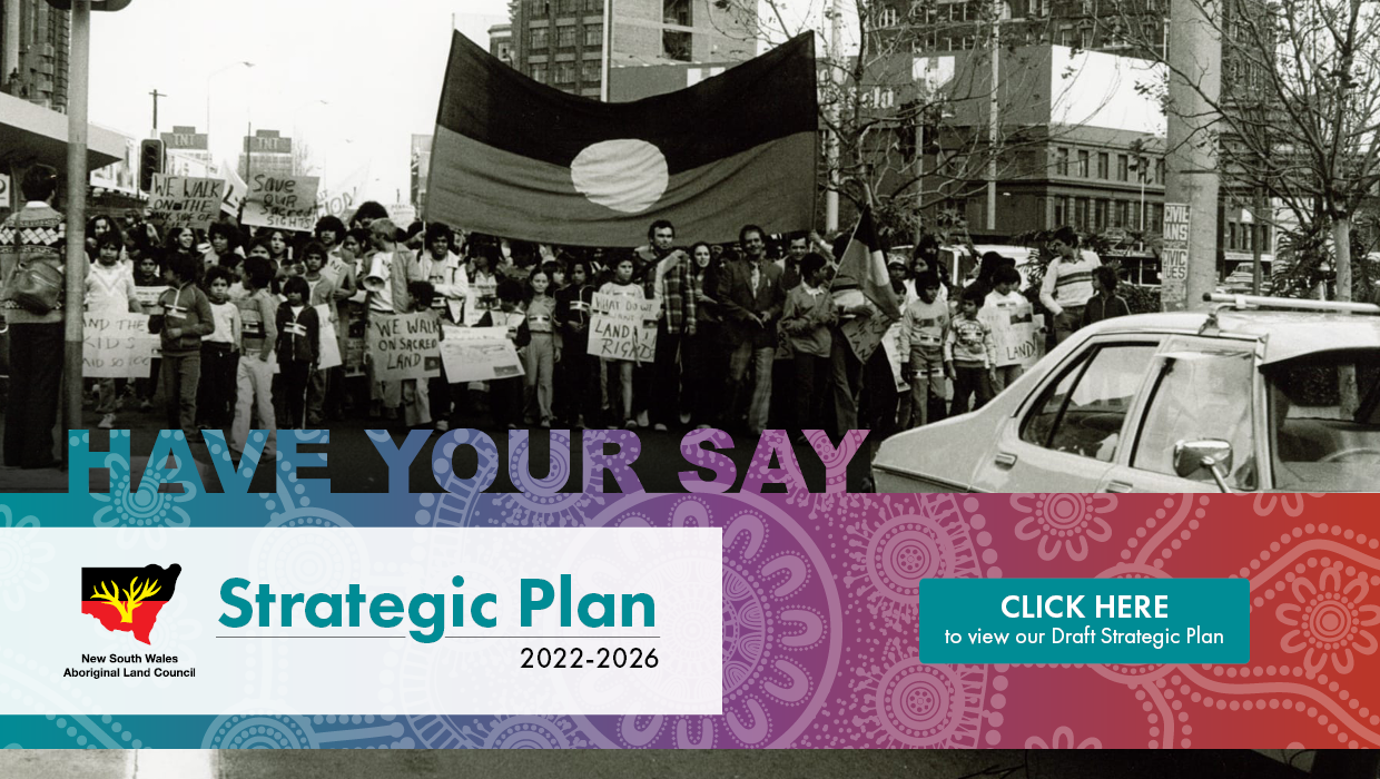 NSWALC Draft Strategic Plan