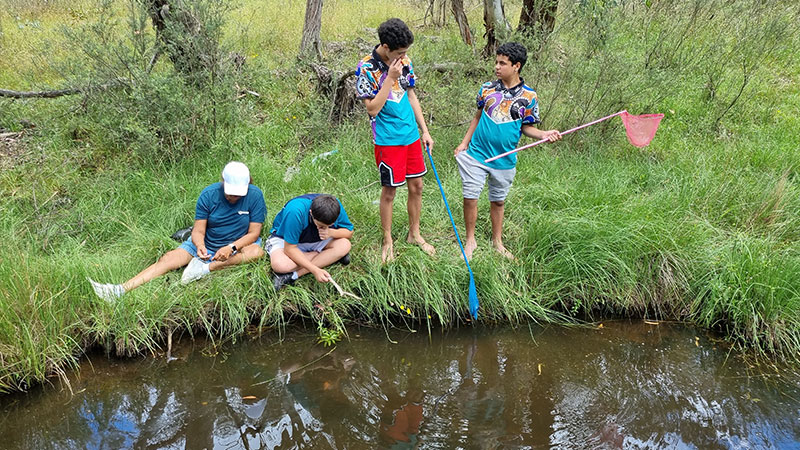 Students engaged in hands-on learning experiences