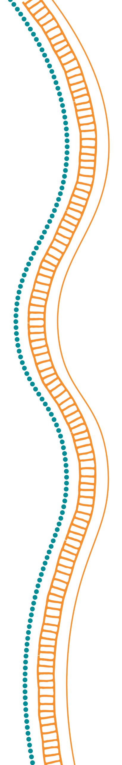 Decorative abstract border featuring teal dotted arc and orange wavy lines on a black background.